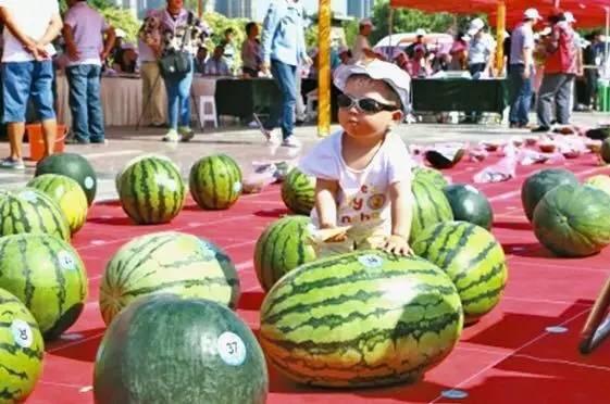 吃瓜大赛在线播放,在线观看，一网打尽热门话题